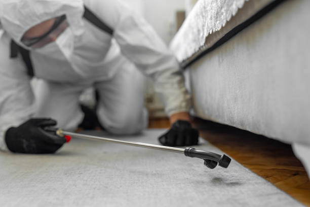 Professional Bed Bug Control technician working in Hillcrest Heights, MD