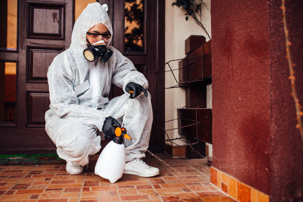 Reliable Bed Bug Control contractor in Hillcrest Heights, MD by Nex Pest Control