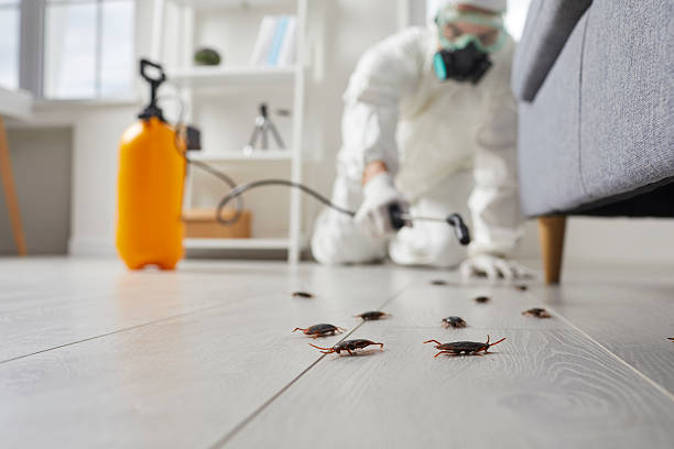 Trusted Termite Control service in Hillcrest Heights, MD - Nex Pest Control