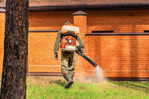 Trusted Mosquito Control service in Hillcrest Heights, MD - Nex Pest Control